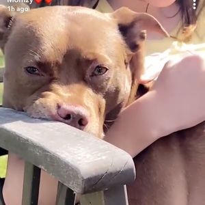 Meet your Posher, Izzy